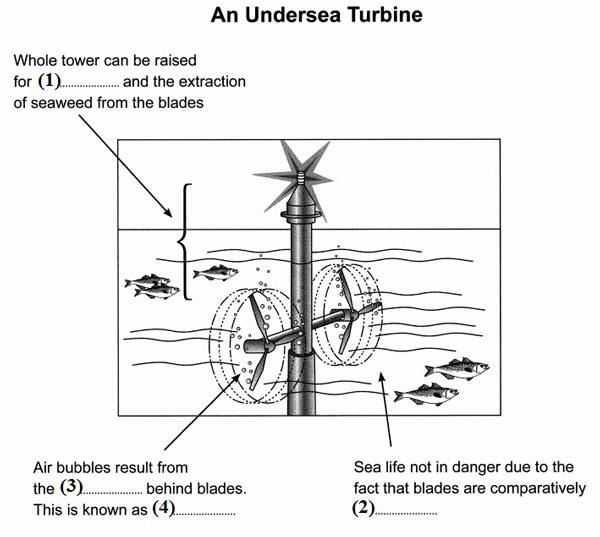 Diagram Labelling Questions 1