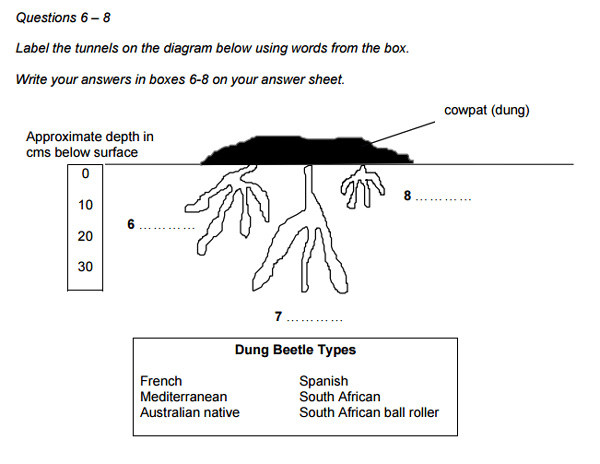 Diagram Labelling Questions 3